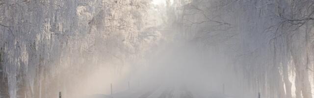 ILMATEADE | Lume kõrgus kasvab kuni 20 cm, pakane veel nädalavahetusel järele ei anna