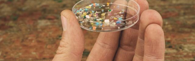 Uuring: Inimese ajust on leitud järjest enam plastiosakesi