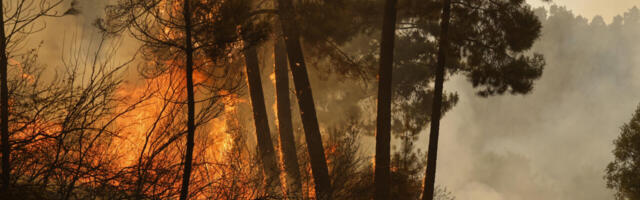 Hispaania metsapõlengute taga on sageli tahtlik süütamine. Kas nii luuakse “kliimakatastroofi”?
