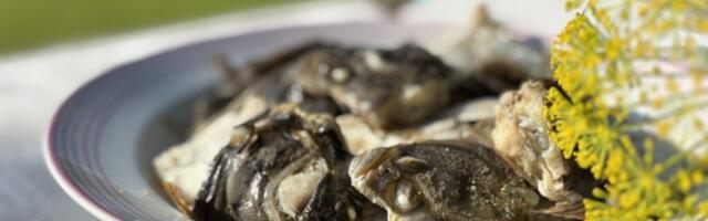 HIIUMAA GURMEE | Keedetud lestapea viib keele alla