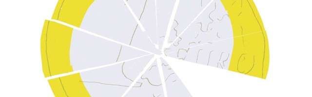 Kodanikupalk – kas reaalsus või utoopia?