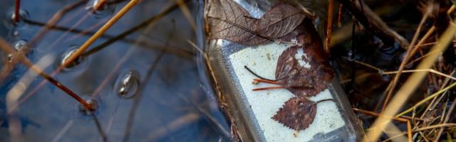 TEADLANE SELGITAB | Võrumaal uppus tiiki 5,6-promillise joobega mees – kuidas ta senikaua elus püsis?