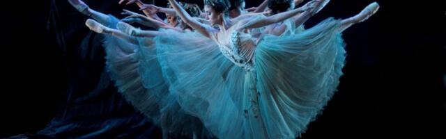 Ivan Makarov: Eesti „kaasaegne kultuur" – nagu balletiseelikus taksikoer