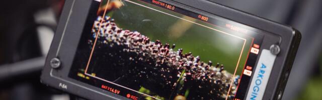 Läti filmitegija Andris Gauja uurib Tartumaal mikro- ja makrokosmose ühiseid jooni