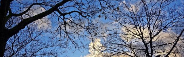 Copernicus: 2023. aastast kujuneb kõige soojem aasta mõõteajaloos