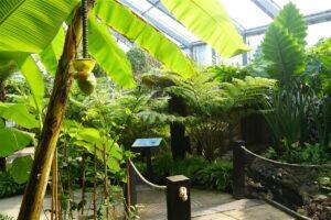 Eesti arhitektuuripreemiad 2023