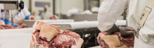 Raul Eamets: usun, et ajaloolised traditsioonid ja esivanemate geenid panevad keskmise eestlase ikka liha sööma