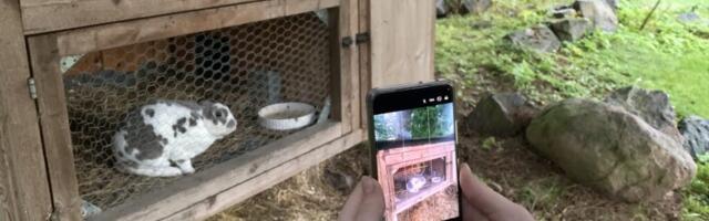 PILDISTAMISE NIPID | Taskus oleva telefoniga võib teha tipptasemel pilte