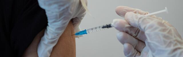 Puukentsefaliidi kordussüsti võib nüüd teha pikema aja tagant