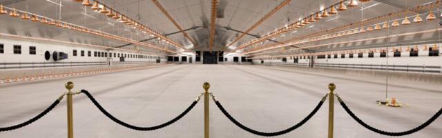 Analüütik sektorite olukorrast: eelmine kord külvasin masendust, nüüd nii kurb pole