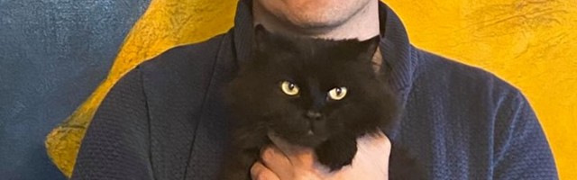 Andrei Korobeinik: üleriigiline lemmikloomaregister on vajalik