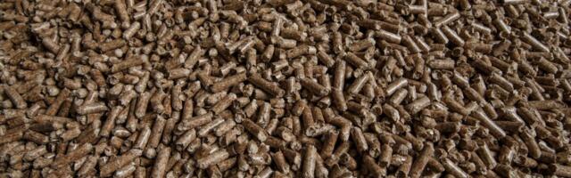 Lätis on enneolematu „pelletipaanika“