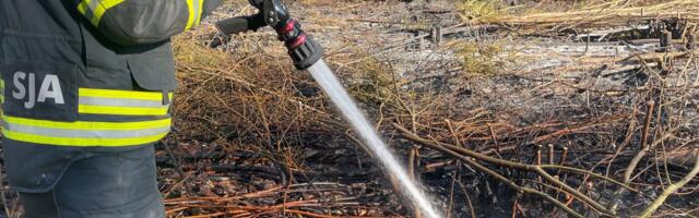 Nädalavahetusel kustutasid päästjad hulgaliselt kulupõlenguid, Viljandimaa lõkkepõletajale määrati trahv