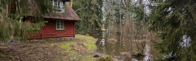 Laikmaa pargis uputab