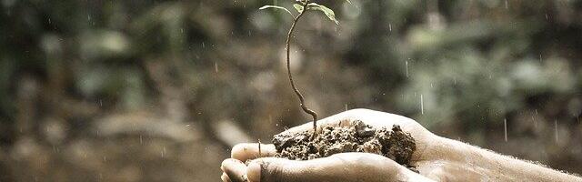 Viis märki, mis näitavad, et su unistused hakkavad täituma