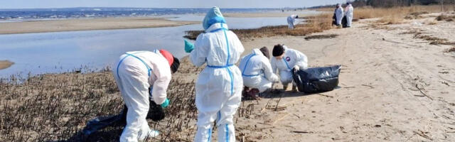 Vene meedia teatas, et Soome lahes on naftareostus