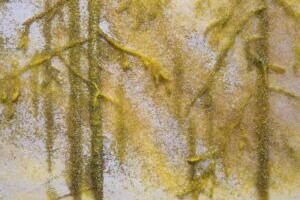 Veebruarikuu kunstisaak