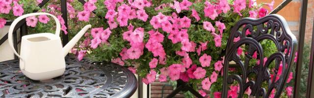 KASULIK | Annad suveks korteri üürile? Vaata, millega sul ja üürilisel seejuures arvestada tuleb