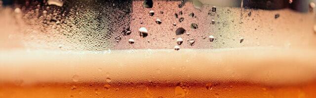 Peeter Saari: õlut pole kunagi liiga palju, küll aga "liiga paljut"