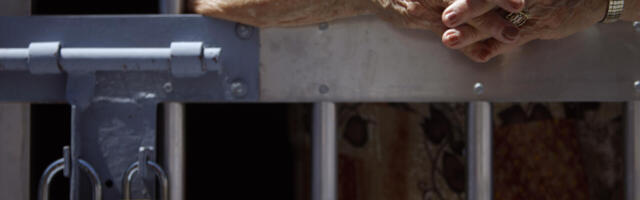 Rita Aavik: kodanik, märka perverti