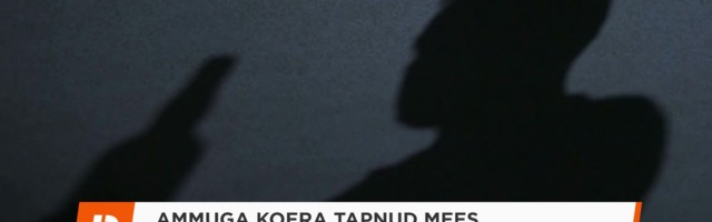 Reporter: Ammuga koera tapnud mees võeti vahi alla