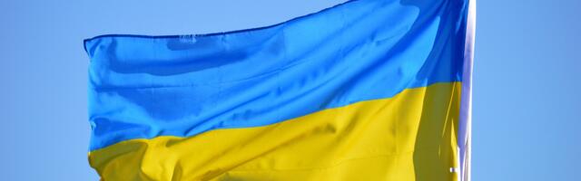 Täna istutatakse Ukraina iseseisvuspäeva puhul Lembitu parki vaher