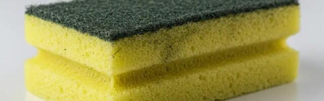 Kui tihti peaks nõudepesusvammi ära viskama? Tõde bakteritest võib sind üllatada