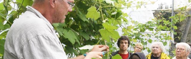 ALGAB „PARIM TALU 2022” VALIMINE