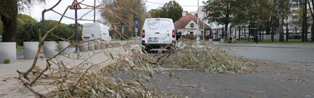 KÜSITLUS | Kuidas torm sulle kahju tegi?