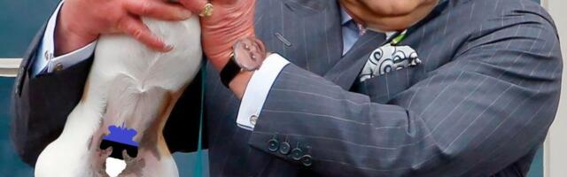 MEEDIAVALVUR: naer, mis ei ole terviseks