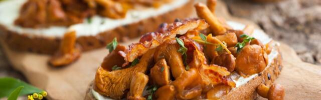 RETSEPT: TÕELISELT hõrgutavad kukeseene bruchettad