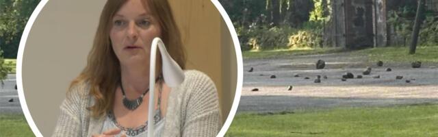 Väidetavalt surnuaial laamendanud kohalik poliitik tuli välja ootamatu versiooniga. Politsei jutuga see ei haaku