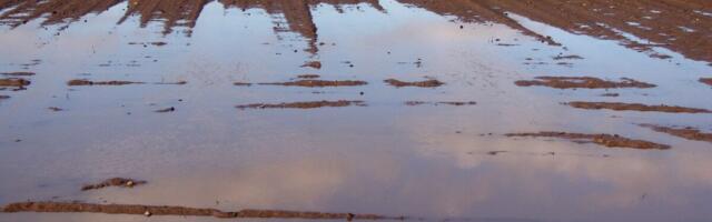 Põllumehed hädas vihmaga, riik kuulab tootjate muresid