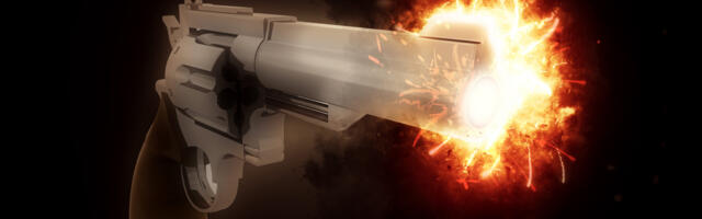 KURIOOSUM: Mersuga jalga lasknud poissi taga ajanud politseinik lasi omale jalga