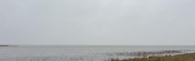 Haapsalu lahe karbi- ja vetikafarm jõudis hoonestusloa taotluseni