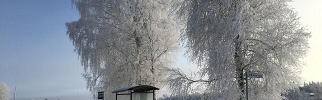 Ööl vastu pühapäeva langeb temperatuur kuni -25 kraadini