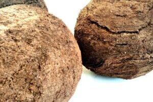 Liina Tepandi näitus “Šokolaad, hedonism ja kliima”