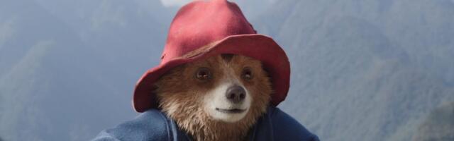 Paddington, brittide au, uhkus ja südametunnistus