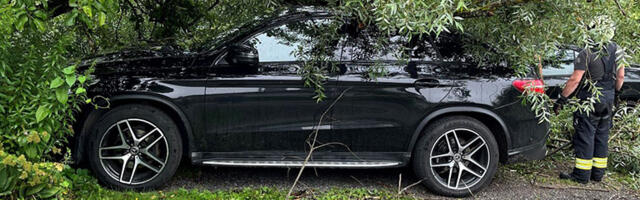 PILDID: Viljandis kukkus puu autodele peale