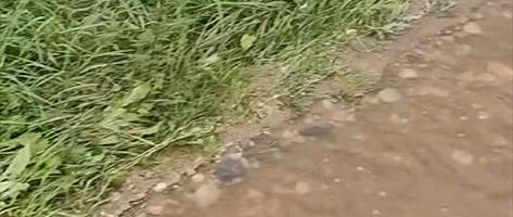 Uskumatu: üle 600 inimese pani laigi, et riigikogu liikme maatee hävis