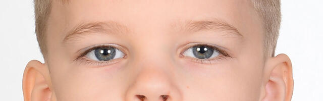 Politsei otsib Tartu linnas kadunud 8-aastast Lev Andret