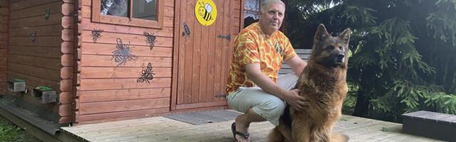 Varjula talu kutsub teraapililselt pikutama sumisevasse mesitarru