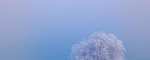 Valga Vallavalitsuse avaldus