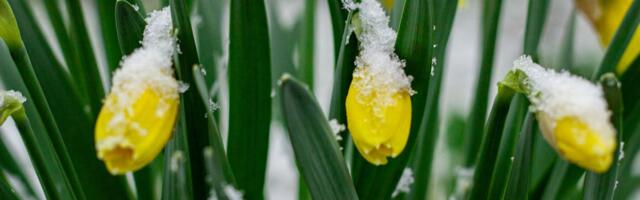 Keskkonnaagentuur: Saabuv külmem õhk toob kaasa lörtsi- ja lumehood