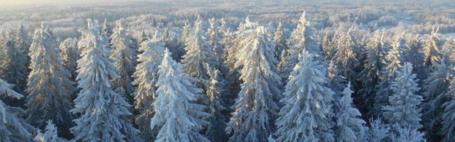 Tõnu Kuusemaa - Tere talv!  EESTI