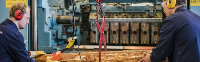 Puit kui tulevikumaterjal: kas põletame seda edasi või hakkame lõpuks ka väärindama?