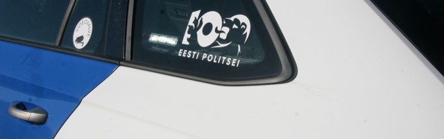 Vaiklas sõitis auto vastu puud, juht hukkus