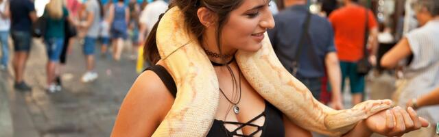 PRAHA TÄISKASVANUTELE ⟩ Meie teekond seksikas «loomaaias»