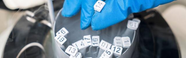 Munarakudoonorlus – võimalus aidata viljatuid paare