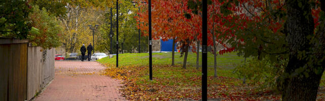 Oktoobris vahelduvad soojad ja jahedamad perioodid